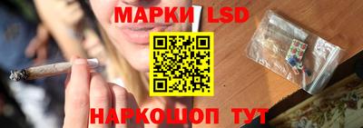 индика Будённовск