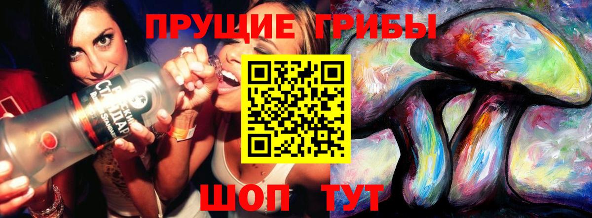 Галлюциногенные грибы Cubensis Курган